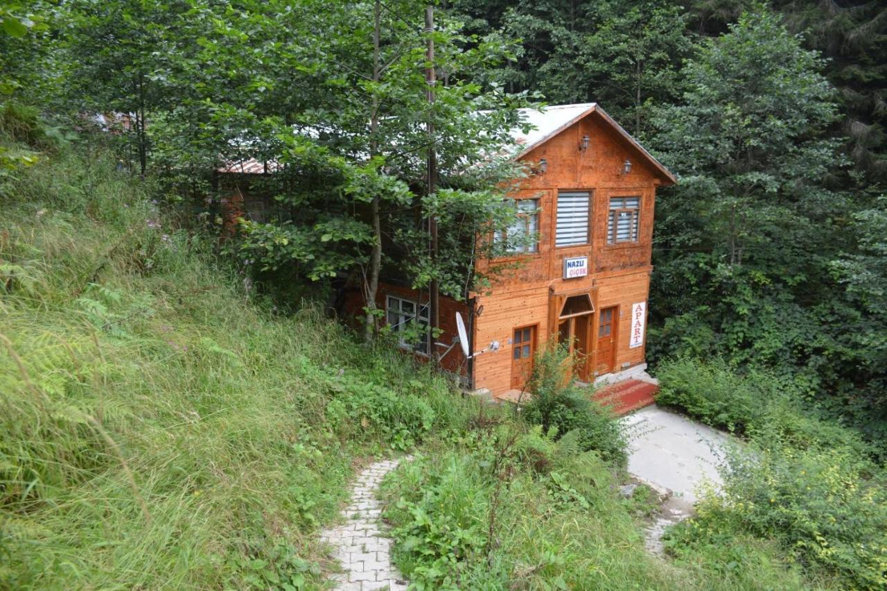 AYDER Nazlı çiçek apart Exterior foto