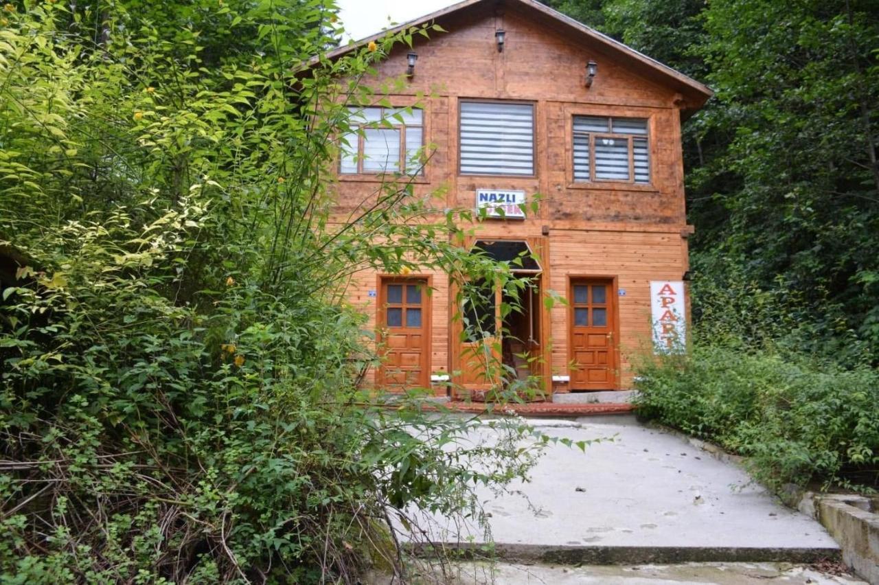 AYDER Nazlı çiçek apart Exterior foto
