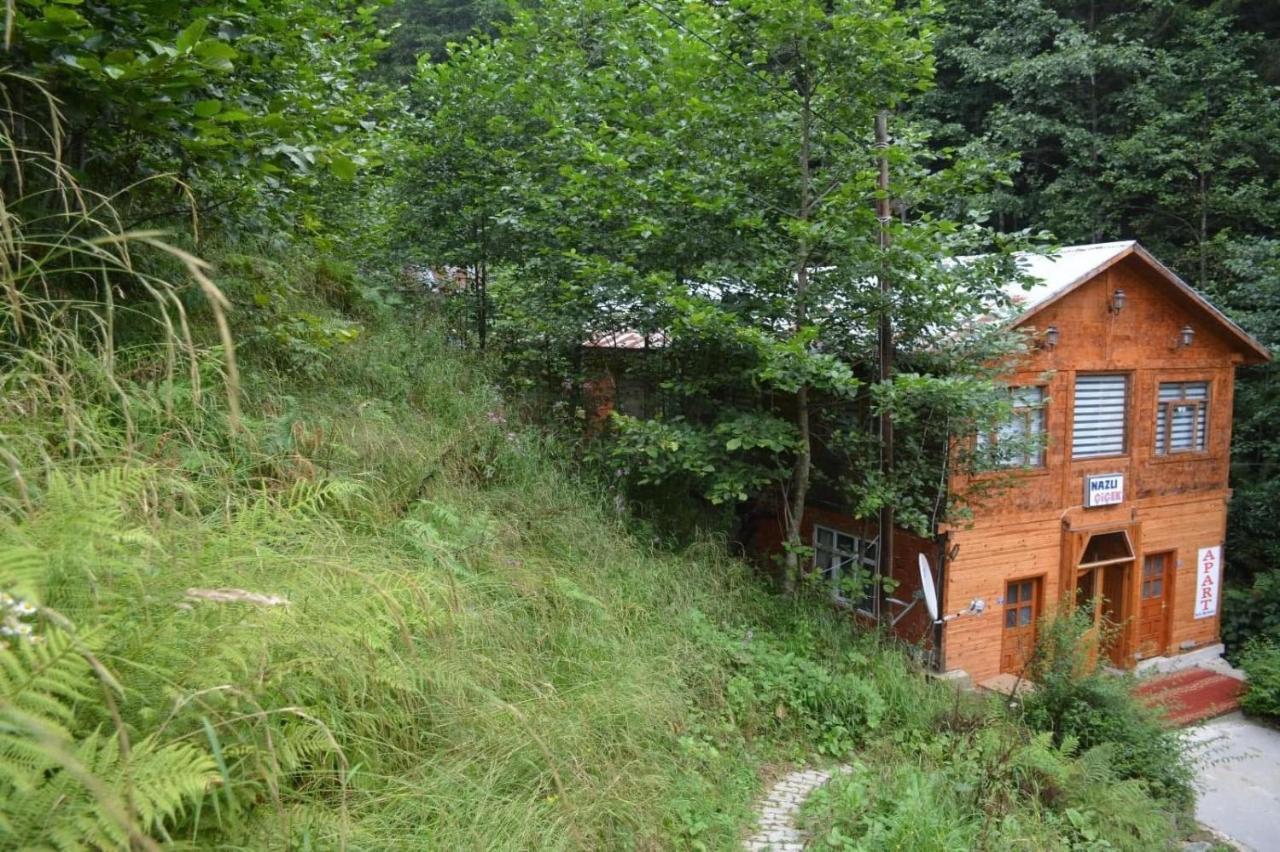AYDER Nazlı çiçek apart Exterior foto