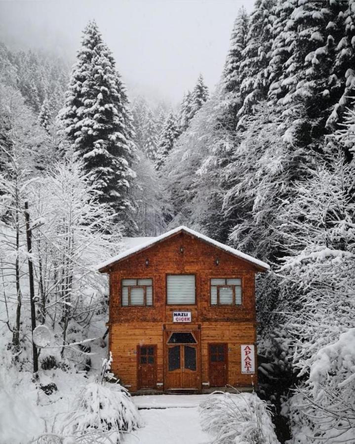AYDER Nazlı çiçek apart Exterior foto